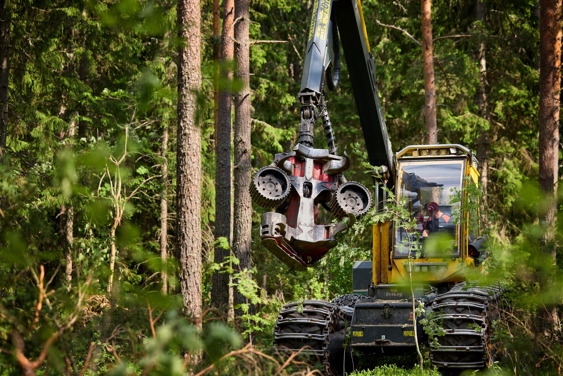 Skördare (skogsmaskin) med aggregat och hytt i en skog.