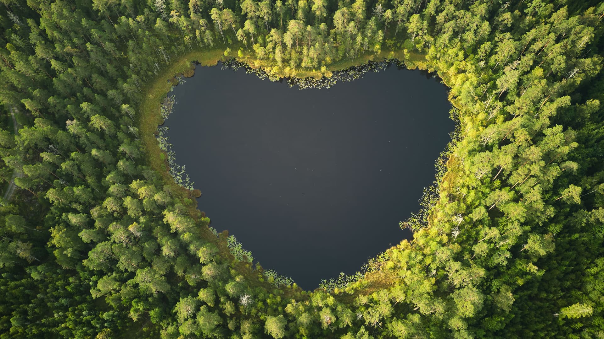 A heart-shaped lake surrounded by forest, photographed from above.