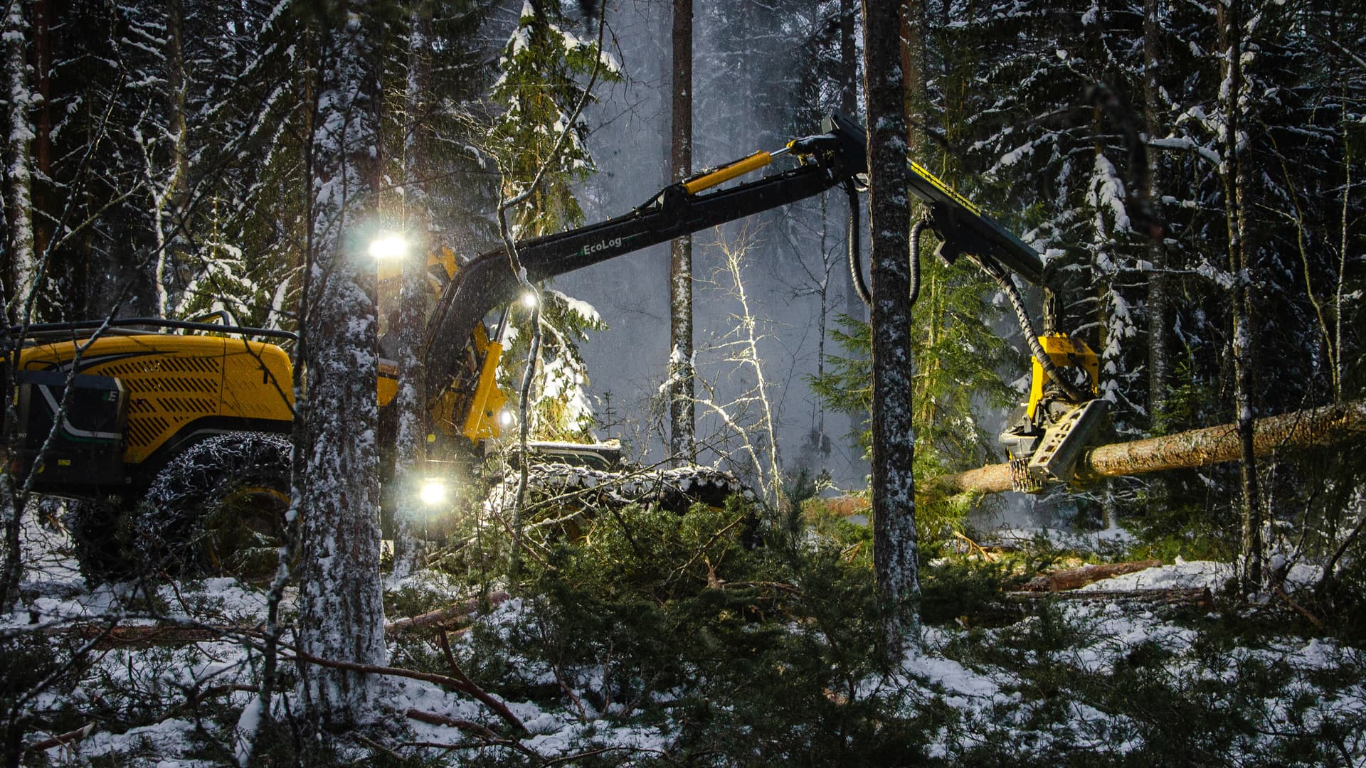 Skördare (skogsmaskin) med kran och aggregat som fäller träd i en snötäckt skog i mörker.