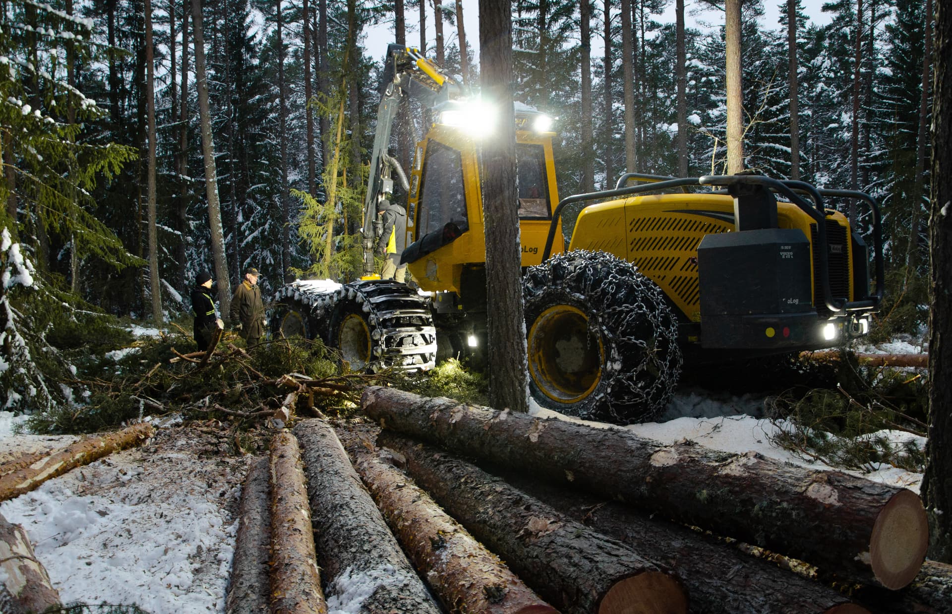 An Ecolog-brand harvester standing still. A stack of pine logs in the foreground.