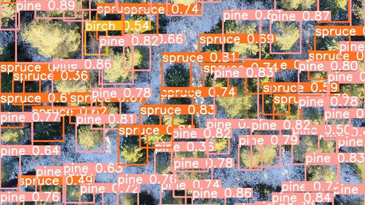 Luftfoto över skog med identifierade trädtyper (tall, gran, björk) och konfidensnivåer.