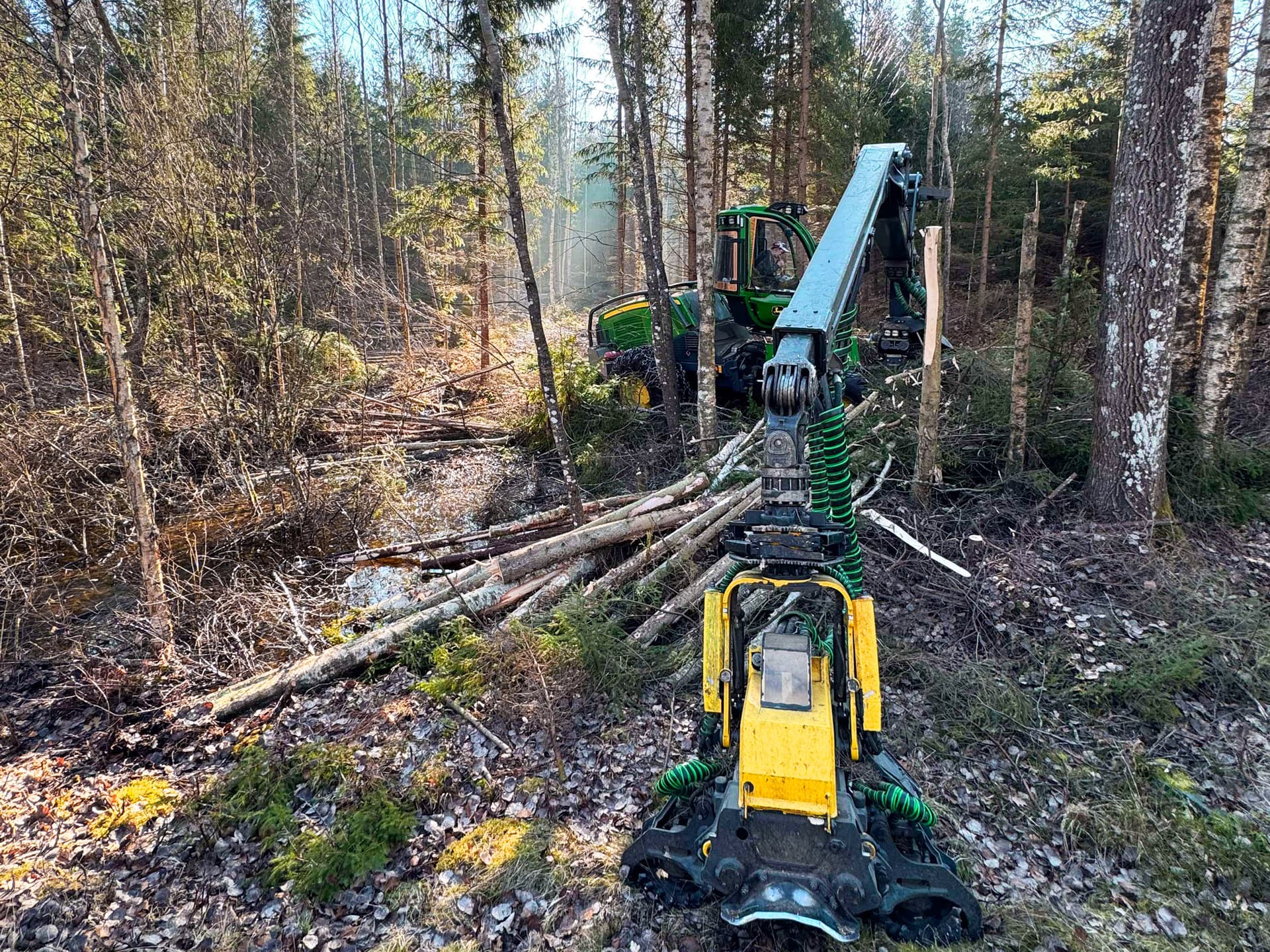 Skogsmaskin med kranarm och aggregat i en skog.