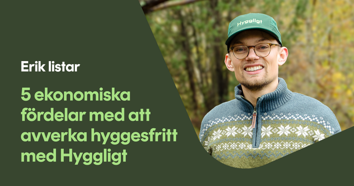 5 ekonomiska fördelar med att avverka hyggesfritt med Hyggligt - Hyggligt